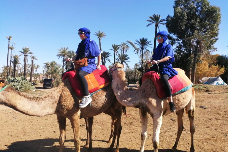 Palmeraie de Marrakech : balade en chameau et quad