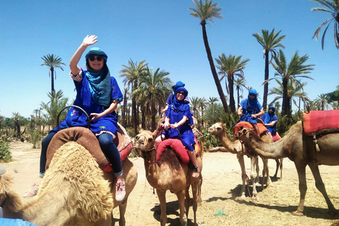 Palmeraie de Marrakech: aventura en camello y quad