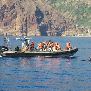 Estreito da Calheta: Whale and Dolphin Watching Boat Tour