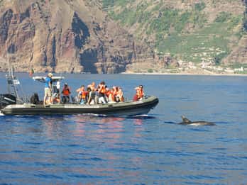 Ab Calheta: Delfin- und Whale Watching-Bootstour