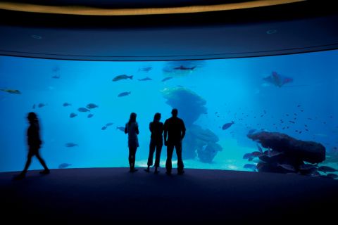 Mallorca: transfer naar Palma Aquarium & optioneel toegangsticket