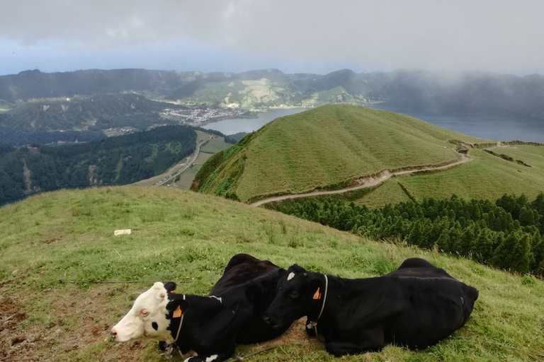 Sete Cidades & Lagoa do Fogo: Private Jeep-Tour mit MittagessenGanztagestour mit Mittagessen