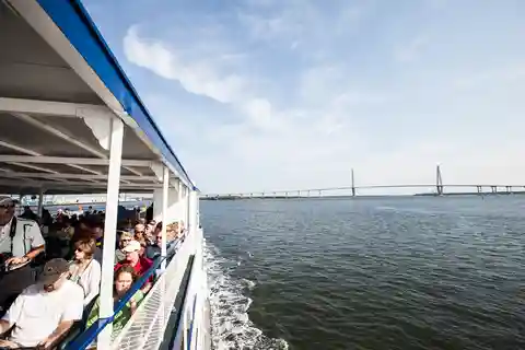 Charleston: Passeio turístico pelo porto e observação de golfinhos