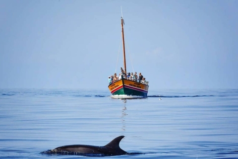 Madera: wycieczka z obserwacją wielorybów tradycyjnym statkiem