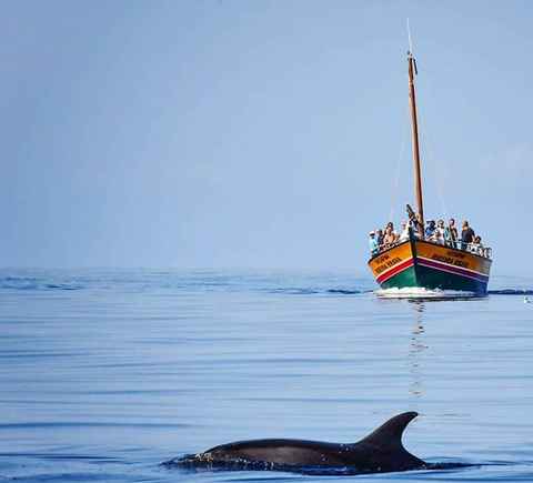 Passeios de barco