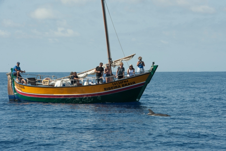Madera: wycieczka z obserwacją wielorybów tradycyjnym statkiem