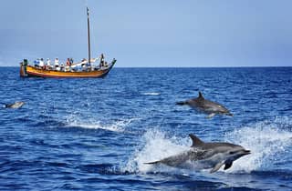 Madeira: Walbeobachtungsausflug in einem traditionellen Schiff