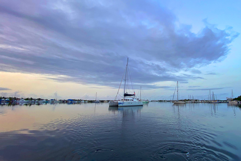 Fajardo : croisière en catamaran l'après-midi