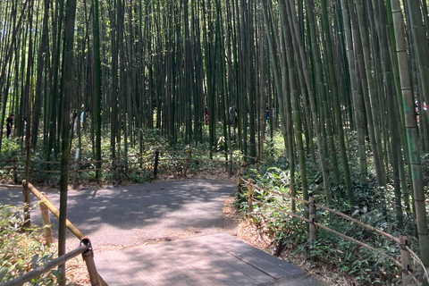 Private Auto Tour - Fushimi Inari, Kinkakuji und Bambuswald