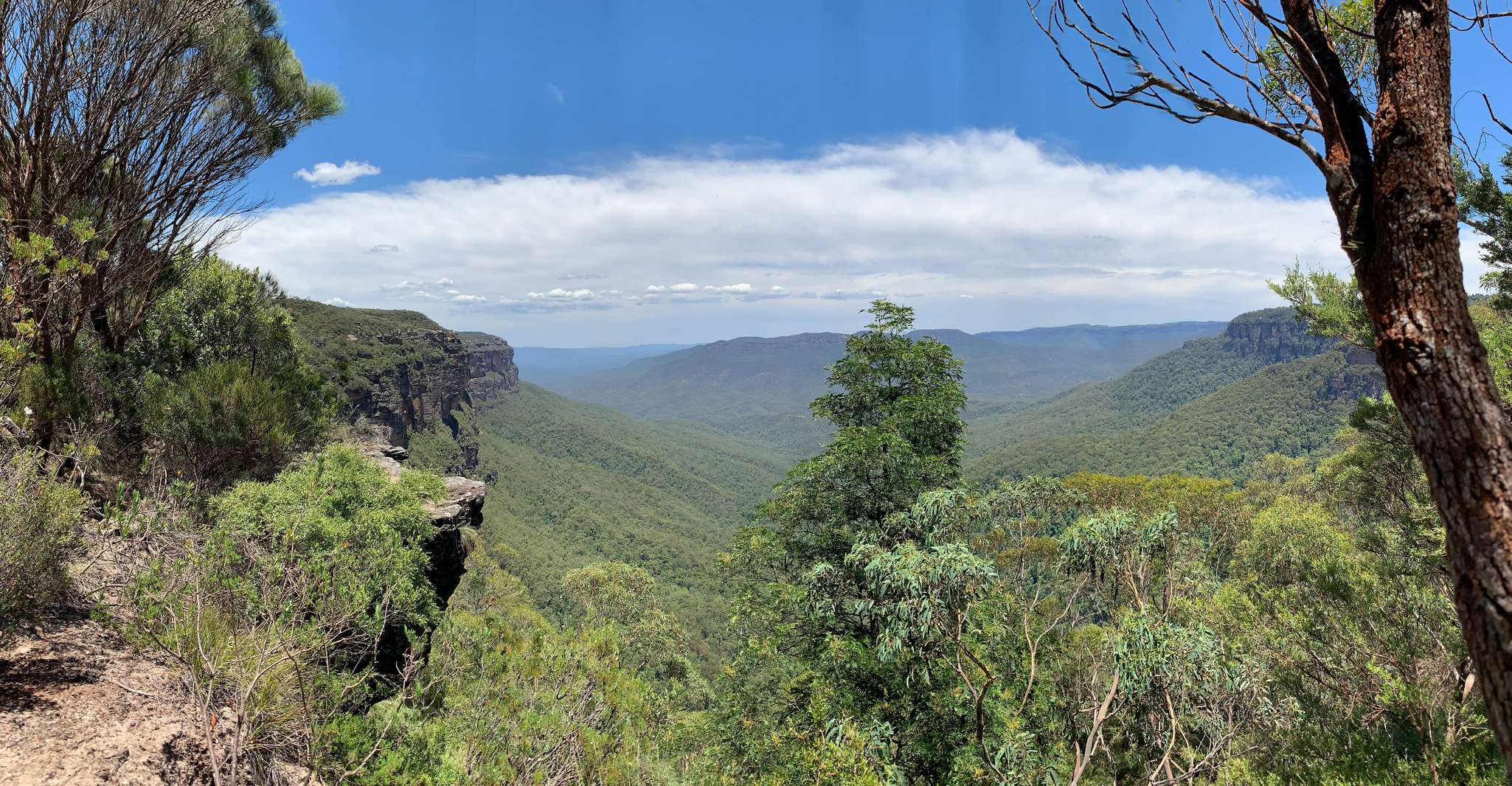 Sydney, Blue Mountains Featherdale y Wentworth Falls Tour - Hizvo