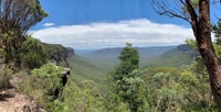 Sydney, Blue Mountains Featherdale y Wentworth Falls Tour - Hizvo
