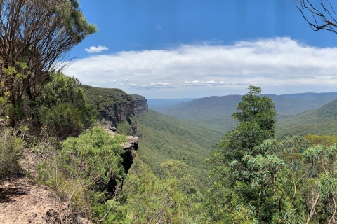 Desde Sydney: Excursión de descubrimiento de las Montañas Azules en grupo con almuerzo