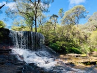 Sydney, Blue Mountains Featherdale y Wentworth Falls Tour - Hizvo
