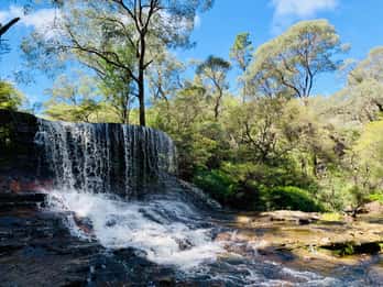 Sídney Aventura de lujo en las Montañas Azules con las cataratas Wentworth