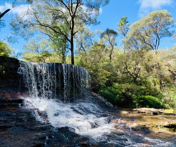 Sydney: Luxury Blue Mountains Adventure with Wentworth Falls