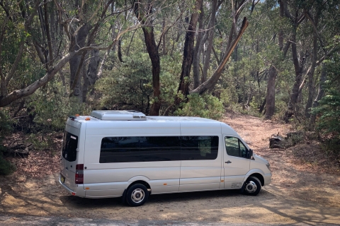 Z Sydney: Blue Mountains Group Discovery Tour z lunchem