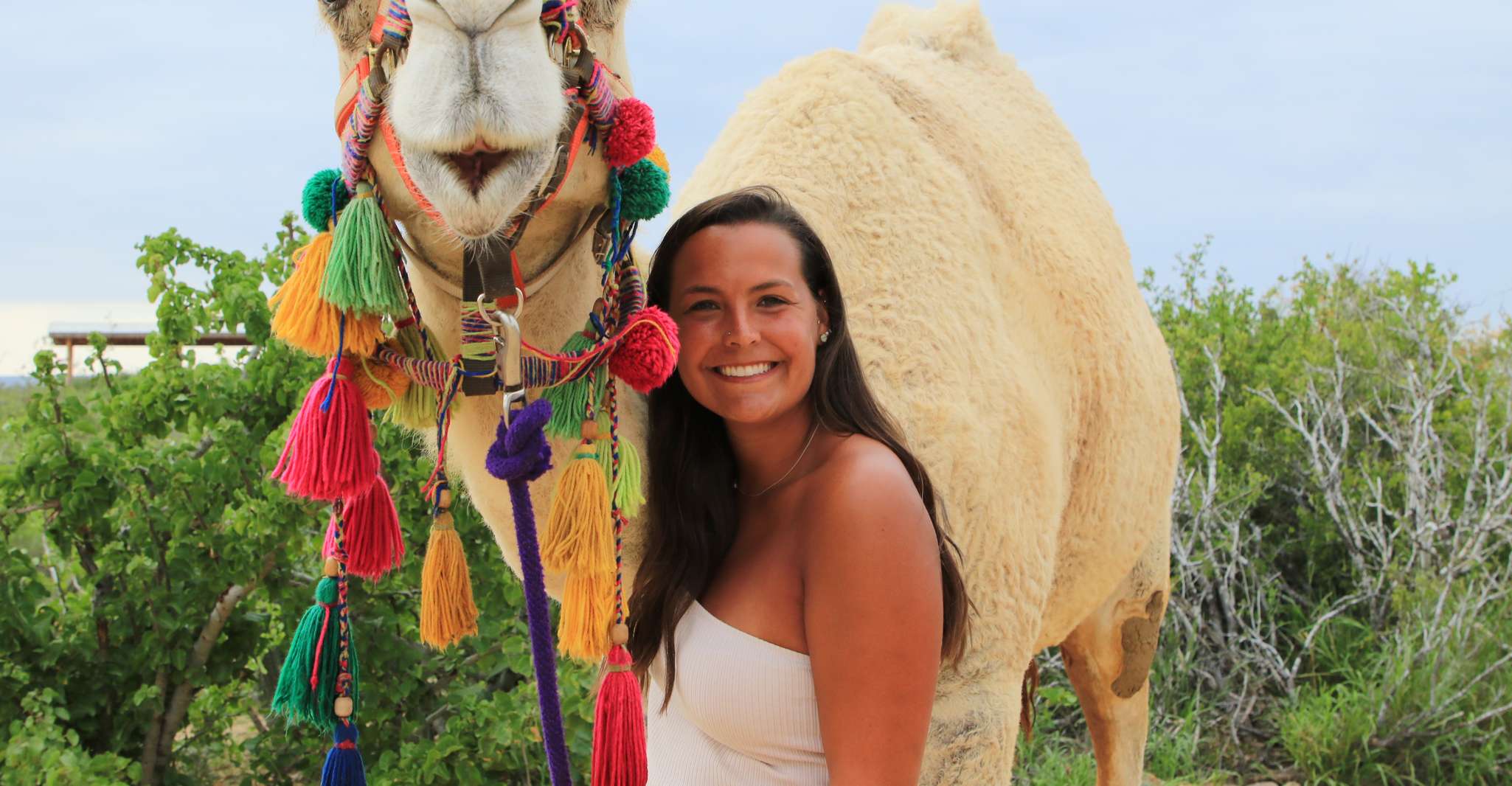 Cabo, ATV, Camel Ride, Mexican Lunch, and Tequila Combo Tour - Housity