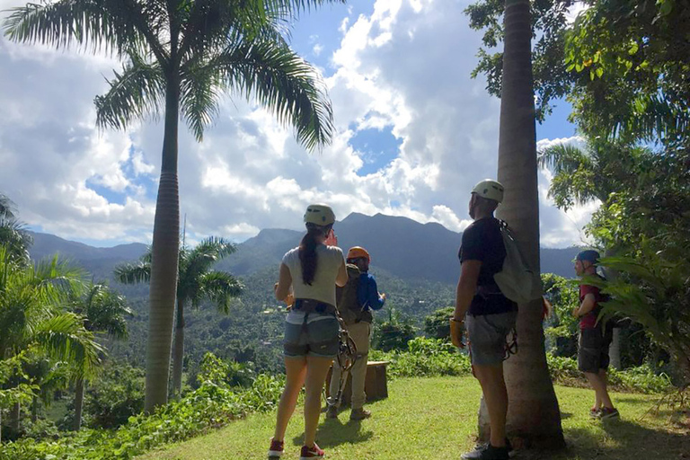 Puerto Rico: Yunque Ziplining in het regenwoud