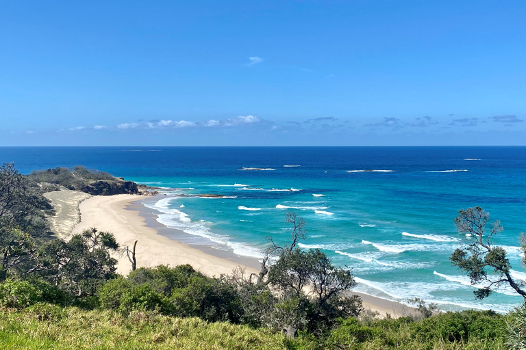 Desde Brisbane: Excursión de un día a la Isla North Stradbroke con puesta de solGrupos reducidos Excursión al Atardecer Estilo Boutique