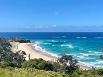 From Brisbane: North Stradbroke Island Wildlife Adventure