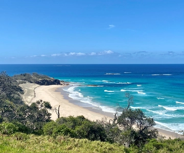 From Brisbane: North Stradbroke Island Wildlife Adventure