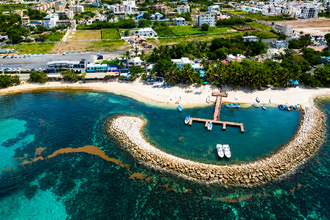 From Punta Cana: Catalina Island with Lunch & Transportation SNORKELING PACK