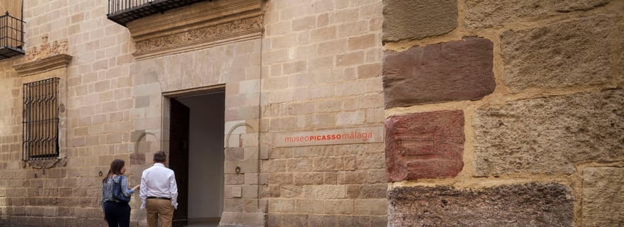 Málaga: Biglietto d'ingresso al Museo Picasso Málaga