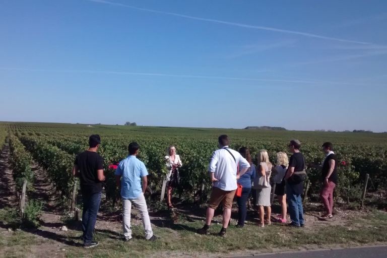 Bordeaux: ein Nachmittag in Margaux