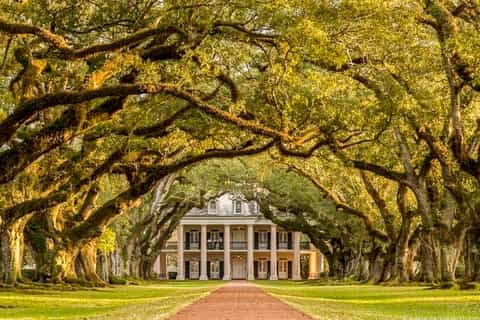 New Orleans: Oak Alley Plantation & Airboat Swamp Combo