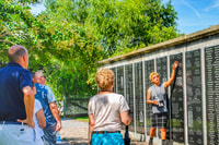 Da New Orleans, Ticket e trasporti di Whitney Plantation - Housity