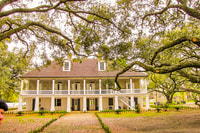 Da New Orleans, Ticket e trasporti di Whitney Plantation - Housity