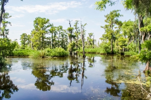 Nueva Orleans: Combo Destrehan Plantation & SwampDestrehan Plantation & Swamp Tour Combo de lanchas