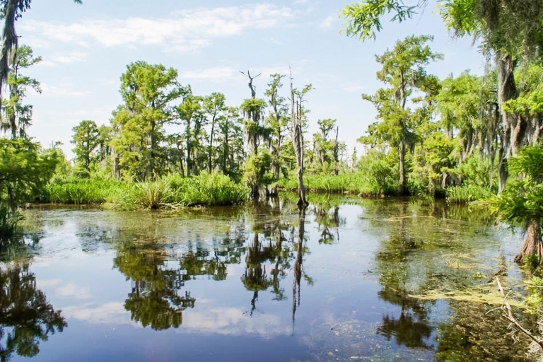 New Orleans: Destrehan Plantation & Swamp ComboDestrehan Plantation & Sumpf-Ausflug-Boot kombiniert
