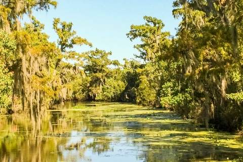 New Orleans: Destrehan Plantation & Swamp ComboDestrehan Plantation & 16 Passenger Airboat Combo