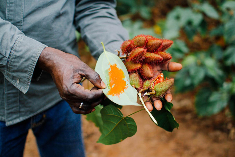Zanzibar Stone Town, Prison Island & Spice Tour with lunch Group Zanzibar Stone Town, Prison Island & Spice with lunch