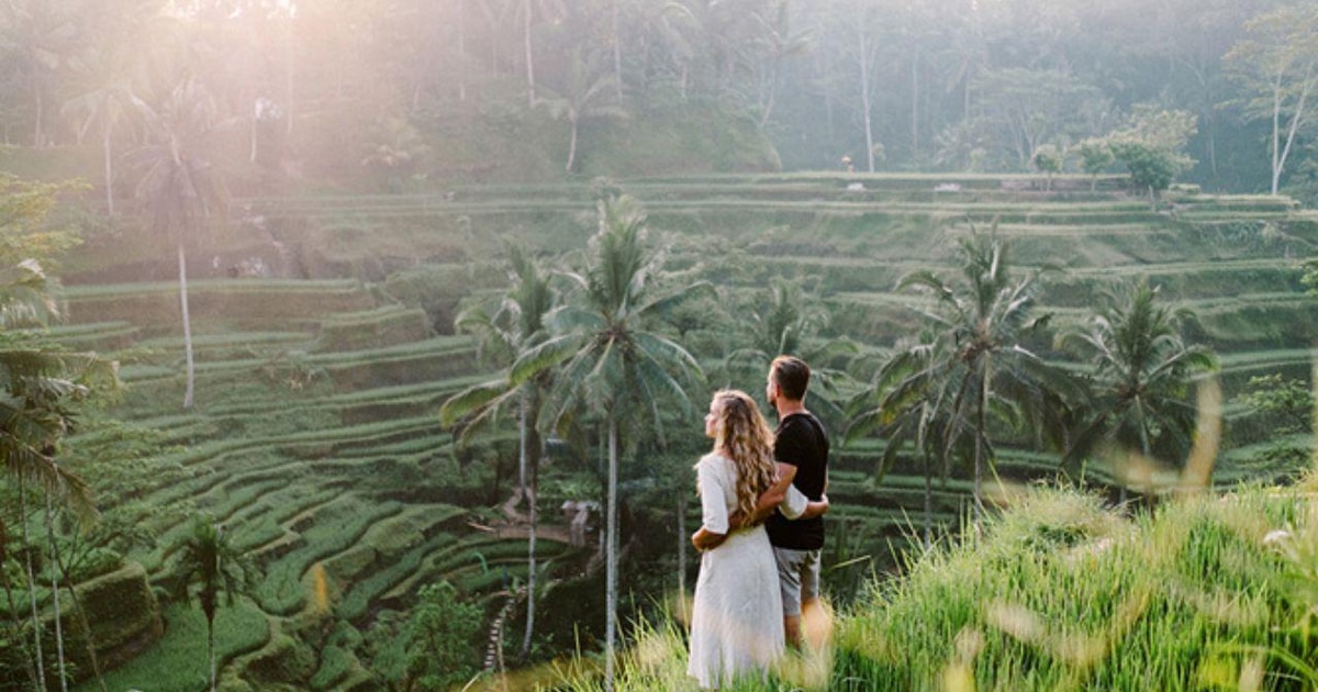 Kintamani: Tegalalang Rice Terraces & Kintamani Tours | GetYourGuide