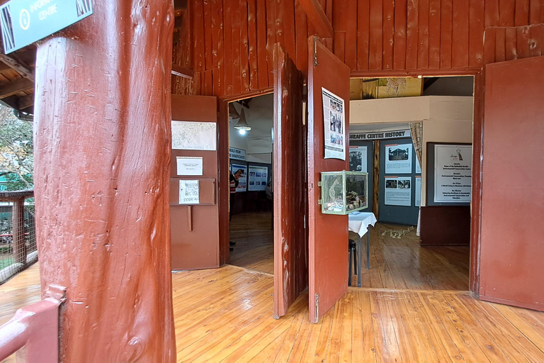 Nairobi: Orfanotrofio degli elefanti e delle giraffe David Sheldrick ...