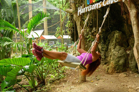 Barbados: Monkey Zip & Gully Challenge Adventure