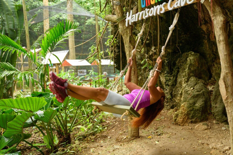 Barbados: Monkey Zip & Gully Challenge Adventure