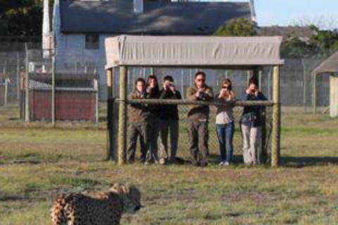 CAPE TOWN: Casa della Giraffa e incontro con il ghepardo con il vino ...