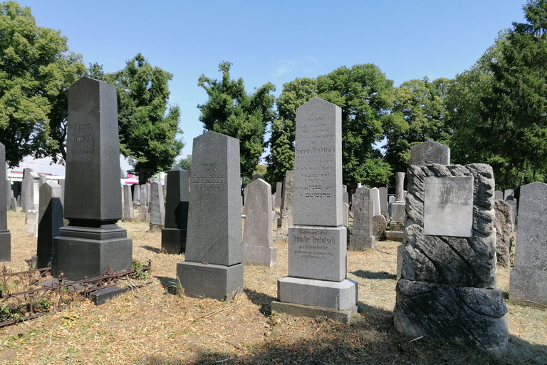 Private 3-Hour Walking Tour of Vienna Central Cemetery