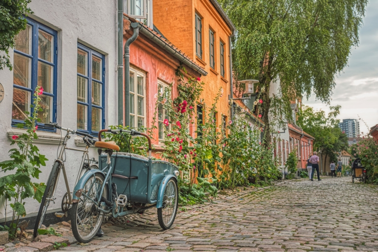 Copenhague: visite privée d'une journée complète de la ville avec dégustations de nourriture