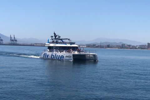 Málaga: Cruzeiro de catamarã com parada opcional para natação