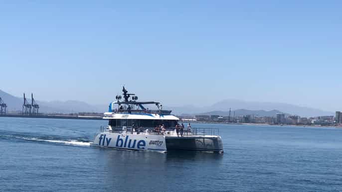 Málaga: crucero en catamaráncon baño opcional