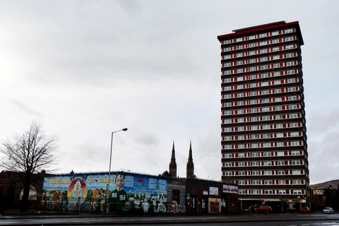 Belfast: Private 4-Hour City Sightseeing Tour