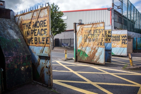 Belfast: Prywatna 4-godzinna wycieczka krajoznawcza