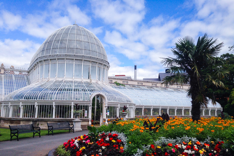 Belfast: Private 4-Hour City Sightseeing Tour