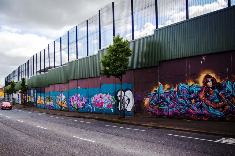 Belfast: Private 4-stündige Stadtrundfahrt