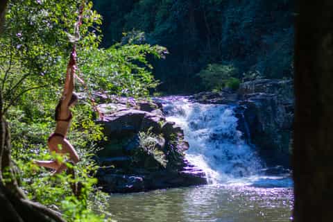 Sunshine Coast: Hinterland Tour with Snacks and Drinks