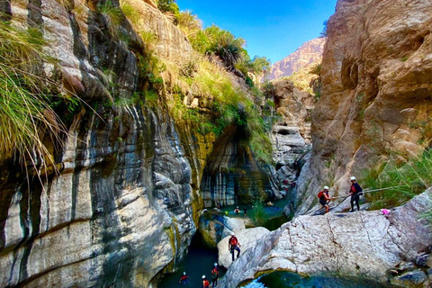 Muscat: Wadi Tiwi, Mibam, Frankincense Tree & Beach Tour